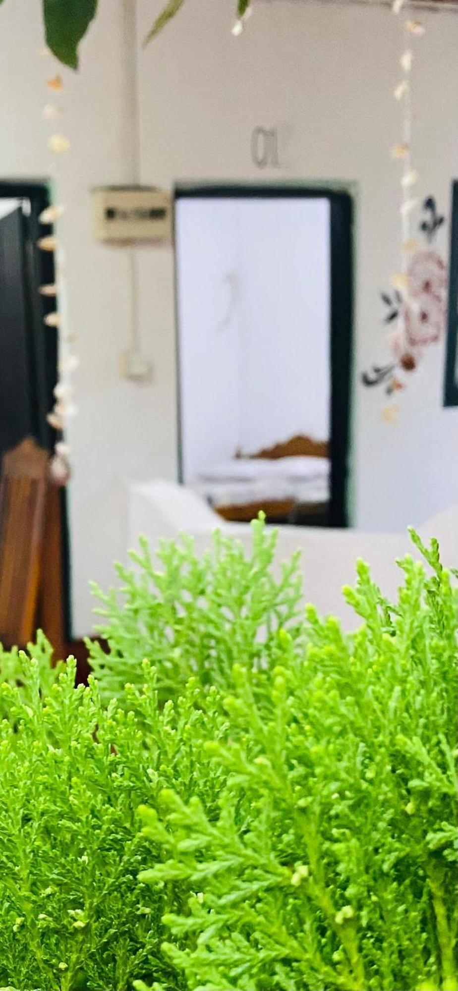 Golden Rich Hotel Vịnh Arugam Ngoại thất bức ảnh